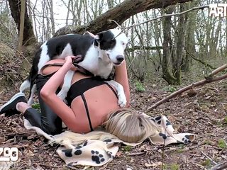 Forest animal sex