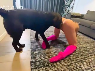 Dog and girl sex movie