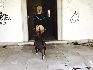 Beautiful girl with dog porn