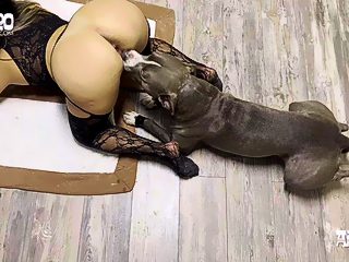 Dog licking a womans pussy