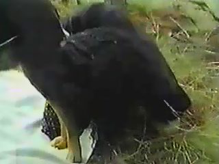 Bestiality woman porn